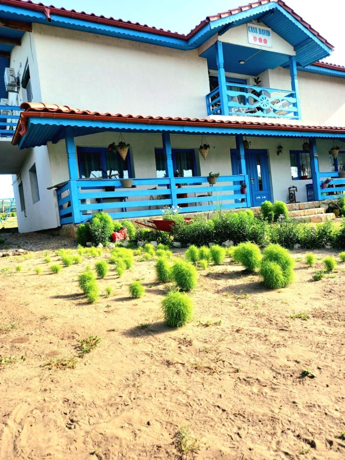 Casa David Hotel Dunavatu de Sus Luaran gambar